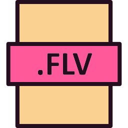 flv icoon