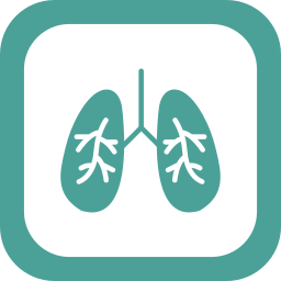 pulmones icono