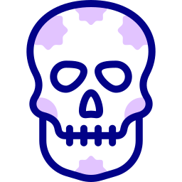 멕시코 해골 icon