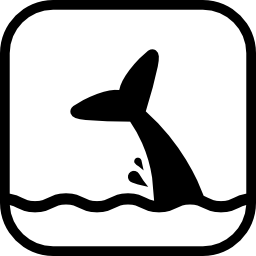 zona delle balene icona