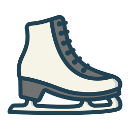 Skate shoes icon