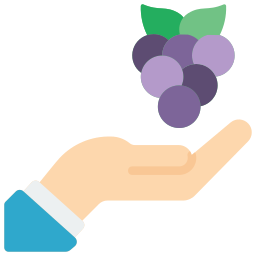 Berries icon