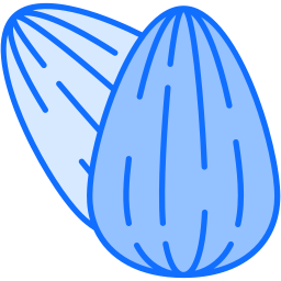 ヒマワリの種 icon