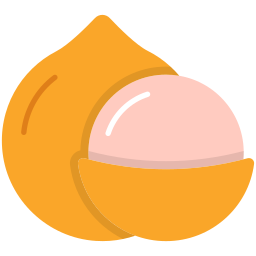 macadamia icono