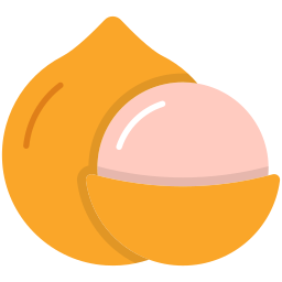 macadamia icon