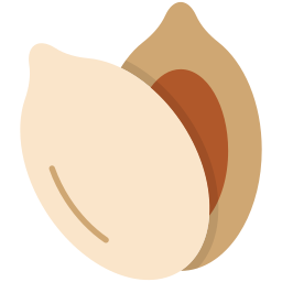 Pumpkin seed icon
