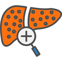 Liver icon