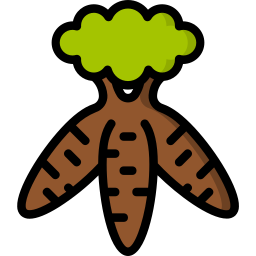 cassava wurzel icon