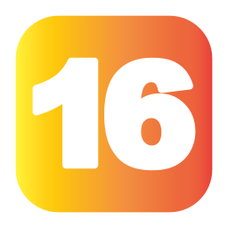 16 icon