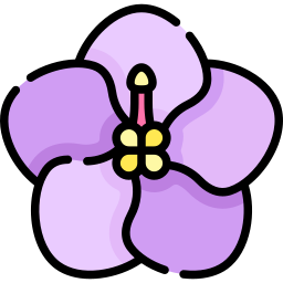 violeta africana Ícone