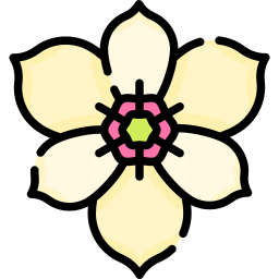 magnolia icoon