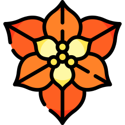 유포르비아 풀체리마 icon