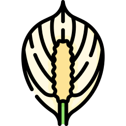 paz lily icono