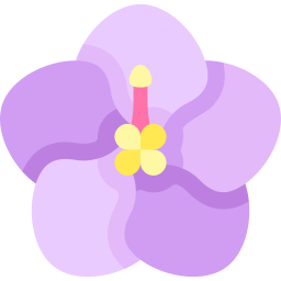 violette africaine Icône
