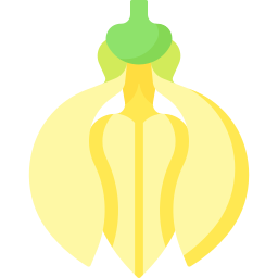 ylang ylang icono