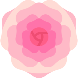 rosa icona