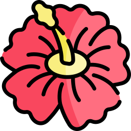 hibisco icono