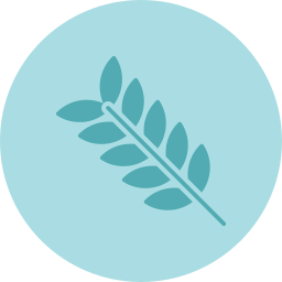 Leaf icon