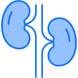 Kidneys icon