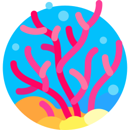 Coral icon