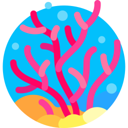 coral Ícone