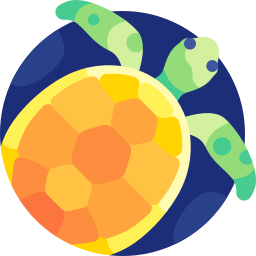 Turtle icon