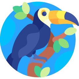 toucan Icône