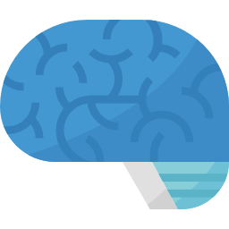 Brain icon