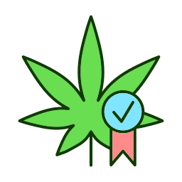 loi sur le cannabis Icône
