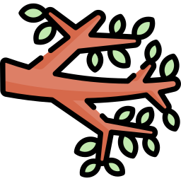 Tree branch icon