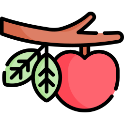 Apple tree icon