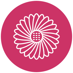 gerbera gänseblümchen icon