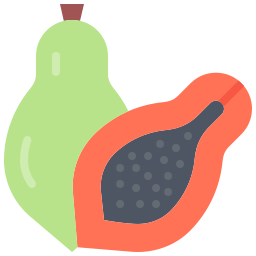 Papaya icon