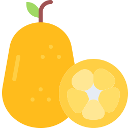 kumquat Icône
