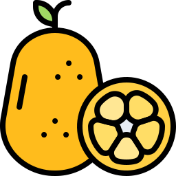 kumquat icon