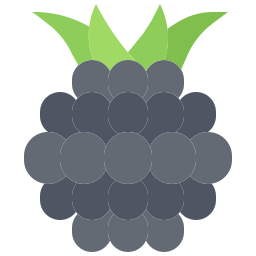 brombeere icon