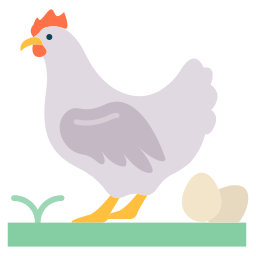 Poultry icon