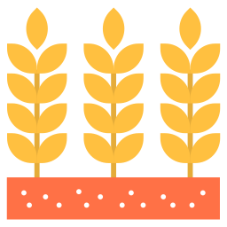 Wheat icon