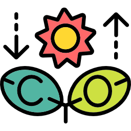 Фотосинтез иконка