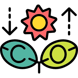 Photosynthesis icon