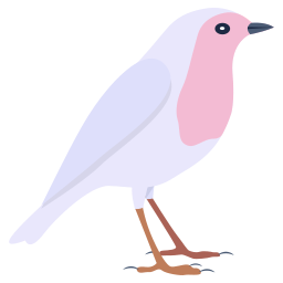 oiseau Icône