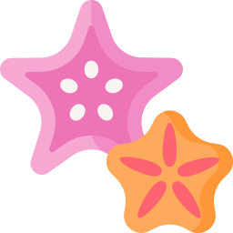 Starfish icon