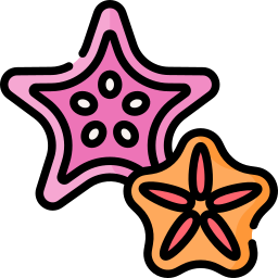 estrella de mar icono