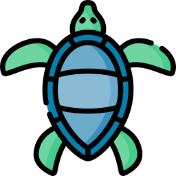 zeeschildpad icoon