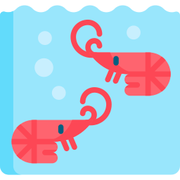 Shrimps icon