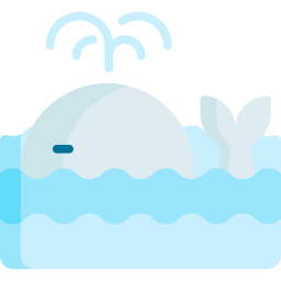 Whale icon