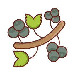 Berries icon