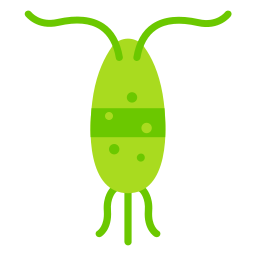 plancton icono