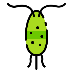 plancton icona