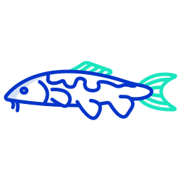 Карповая рыба иконка
